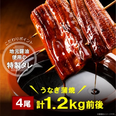 うなぎの蒲焼ビッグサイズ　4尾(計約1.2kg前後)