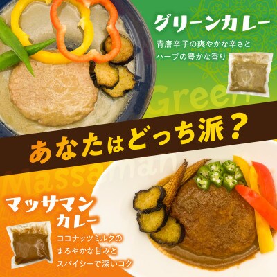 2種のタイカレーのハンバーグ20個(グリーン 10個&マッサマン 10個)