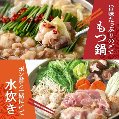 「博多芳々亭」ラー麦100% ちゃんぽん麺(150g×12袋)