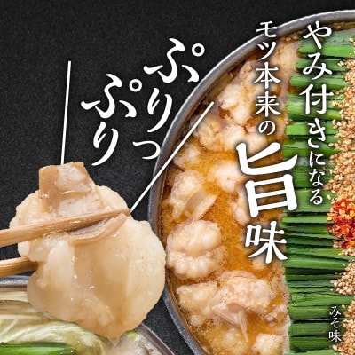 博多もつ鍋前田屋の味噌・醤油食べ比べセット(2～3人前)