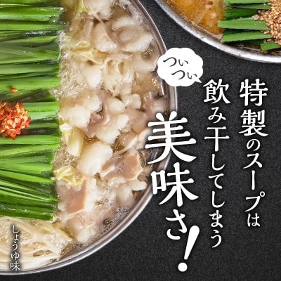 博多もつ鍋前田屋の味噌・醤油食べ比べセット(4～6人前)