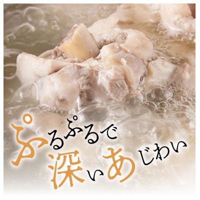 博多水たき濱田屋の水炊きセット4～6人前