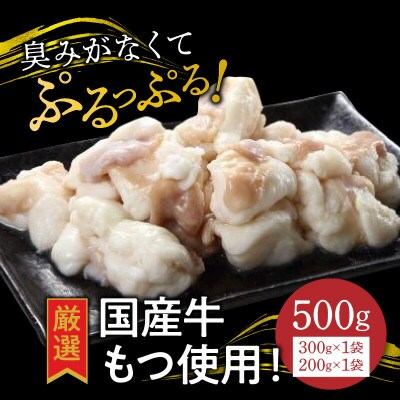 ウエスタン特製博多もつ鍋　鶏がらベースのあっさりスープ(4～5人前)セット!(上毛町)