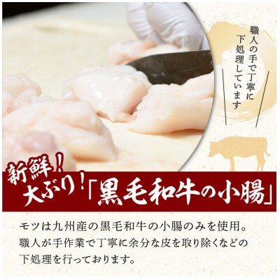 黒毛和牛専門　もつ鍋こうづきのもつ鍋セット赤辛味噌味4～6人前