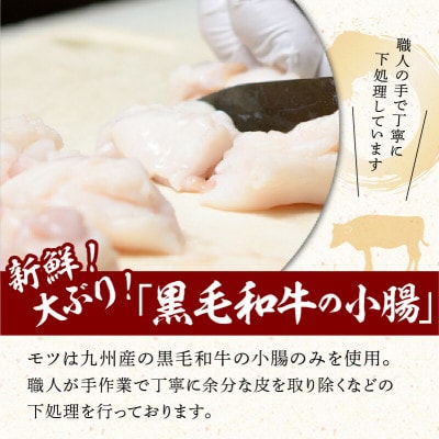 黒毛和牛専門　もつ鍋こうづきのもつ鍋セット白味噌味・赤辛味噌味各2～3人前