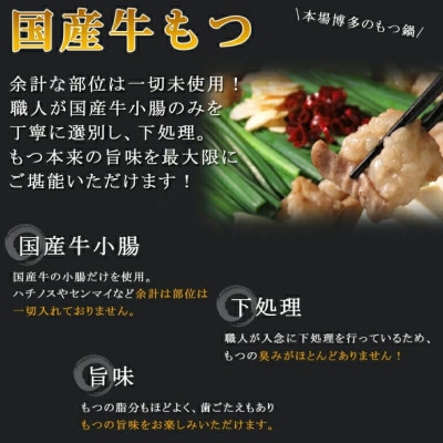 【トメ子精肉店】訳あり　味噌もつ鍋セット　10人前(上毛町)