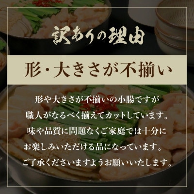 【トメ子精肉店】訳あり　赤辛味噌もつ鍋セット　10人前(上毛町)
