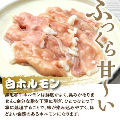 大東園の博多もつ鍋(牛骨味噌スープ)4人前