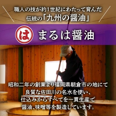博多もつ鍋セット(九州醤油仕立て) 2～3人前 国産牛もつ300g
