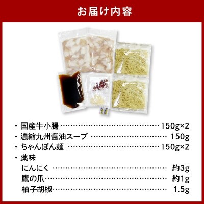 博多もつ鍋セット(九州醤油仕立て) 2～3人前 国産牛もつ300g