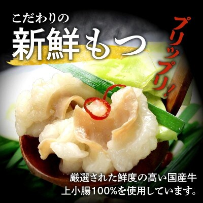 博多明太醤油もつ鍋セット(4～6人前)