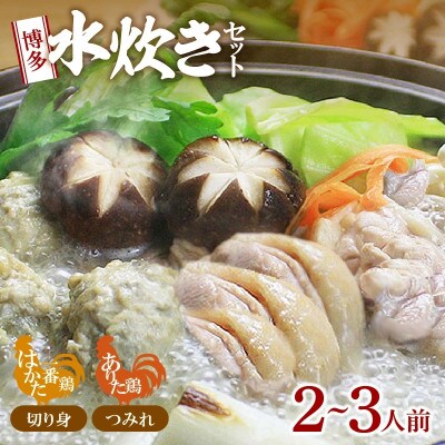 博多水炊き(はかた一番どり切り身・つみれ)セット 2～3人前