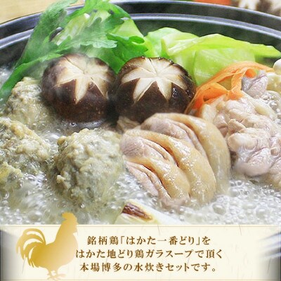 博多水炊き(はかた一番どり切り身・つみれ)セット 2～3人前