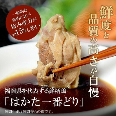 博多水炊き(はかた一番どり切り身・つみれ)セット 2～3人前