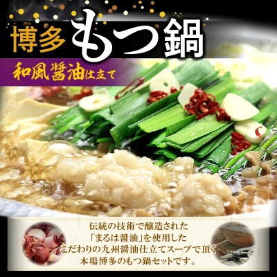 【博多鍋セット2】博多の人気2大鍋のセット「九州醤油もつ鍋」と「博多水炊き(切り身)」4～6人前