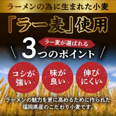 福岡県産ラー麦使用　本格醤油ラーメン 15食