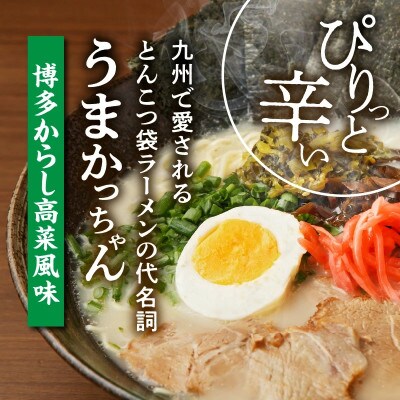 豚骨ラーメン　うまかっちゃん　博多からし高菜風味　60食セット(5袋パック×12セット)(上毛町)