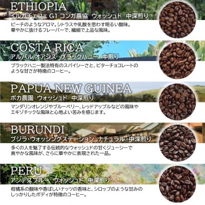風味際立つ世界のスペシャルティコーヒー　ドリップバッグセット　5種類×各4袋入り