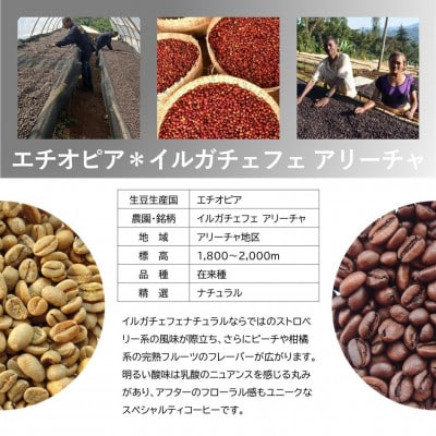 風味際立つ手鍋焙煎コーヒー豆(アフリカ編) 200g×2袋