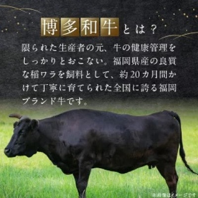 博多和牛 ロースステーキ用400g(200g×2枚入)