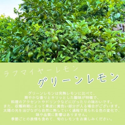 【10月上旬～11月上旬発送】上毛町産ラフマイヤーレモン　2kg(グリーンレモン)(上毛町)