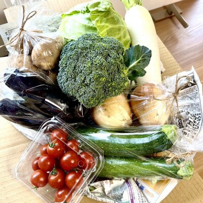 「ノウフク・プロジェクト」野菜詰め合わせ