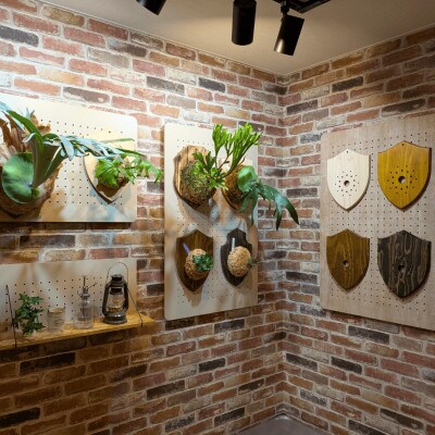 ビカクシダ板　SeamBoard A型