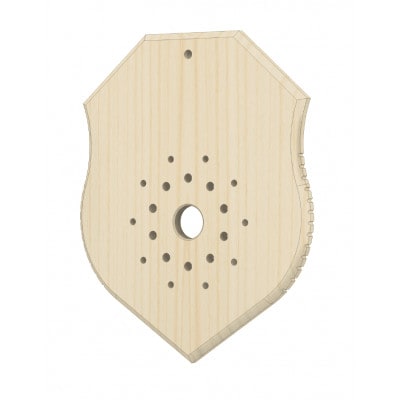 ビカクシダ板　SeamBoard C型 Mサイズ