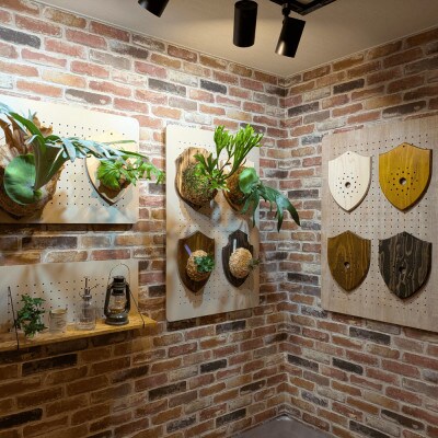 ビカクシダ板　SeamBoard C型