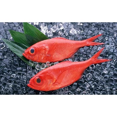 高知産「金目鯛」炊込みの素 200g(3合炊き込み用濃縮タレ付)【DG08】
