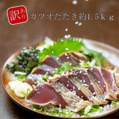 大満足!カツオたたき約1.5kg【BX026】