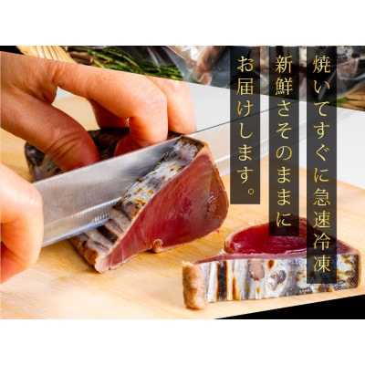 大満足!カツオたたき約1.5kg【BX026】