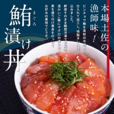 高知の海鮮丼の素「マグロの漬け」約80g&times;10パック【DG33】