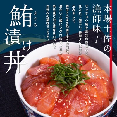 高知の海鮮丼の素「マグロの漬け」約80g×10パック【BX033】