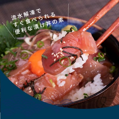 高知の海鮮丼の素「マグロの漬け」約80g×10パック【BX033】
