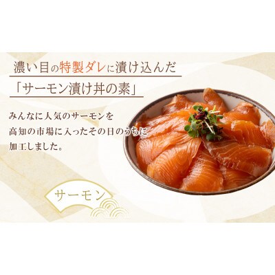 高知の海鮮丼の素「サーモンの漬け」約80gx5パック【BX087】