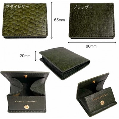 【Sea Green】Ocean Leather BOXコインケース【ブリ】【BX069-04】