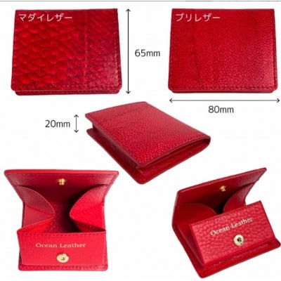 【Carmine】Ocean Leather BOXコインケース【ブリ】【BX069-05】
