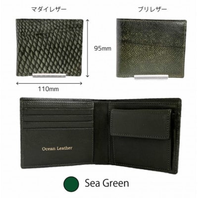 【Sea Green】Ocean Leather 二つ折り財布【マダイ】【BX070-04】