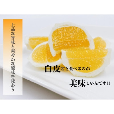 【ふるさと納税】高知県高知市　高知の初夏を代表する果実　小夏　家庭用　約3kg【AW005】