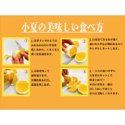 【数量限定】ジューシーな種なし小夏【AW006】