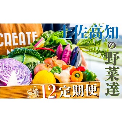 2022年4月発送開始『定期便』高知の旬のお野菜詰め合わせBOX全12回【ER01】
