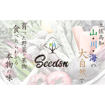 2023年8月発送開始『定期便』【12カ月定期便】高知の新鮮野菜セット/旬の野菜を味わう全12回