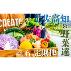 2023年2月発送開始『定期便』【6カ月定期便】高知の新鮮野菜セット/旬の野菜を味わう全6回