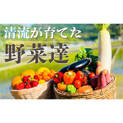 2023年4月発送開始『定期便』【6カ月定期便】高知の新鮮野菜セット/旬の野菜を味わう全6回