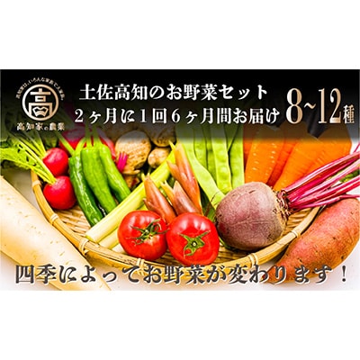 2023年4月発送開始『定期便』【6カ月定期便】高知の新鮮野菜セット/旬の野菜を味わう全6回