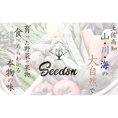 2023年4月発送開始『定期便』【6カ月定期便】高知の新鮮野菜セット/旬の野菜を味わう全6回