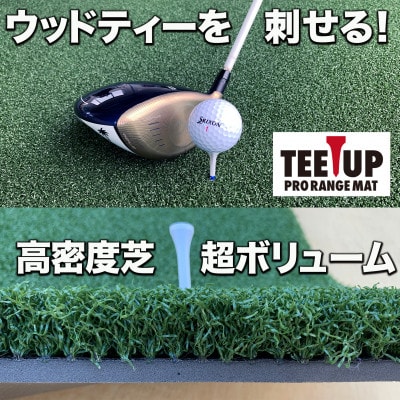 ウッドティーを刺せる ゴルフ練習マット ティーアッププロレンジマット150×100cm【AG095】