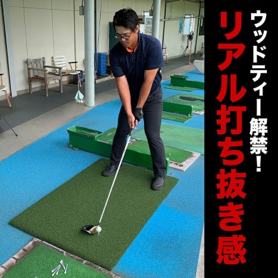 ウッドティーを刺せる ゴルフ練習マット ティーアッププロレンジマット150×100cm【AG095】