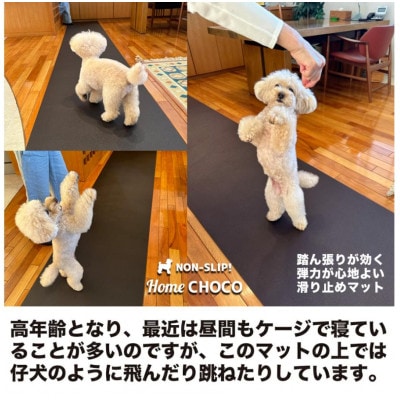 愛犬のための室内用 滑り止めマットHOME CHOCO III[幅70cm×長さ2m]【AG100】